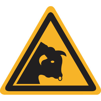 Afbeelding van categorie Gevaar stier
