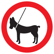 Sticker met pictogram Hond aan riem (Raamsticker)