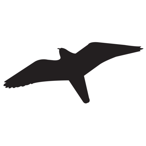 Sticker vogel model 2