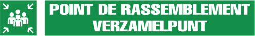 Verzamelpunt  (mini picto)